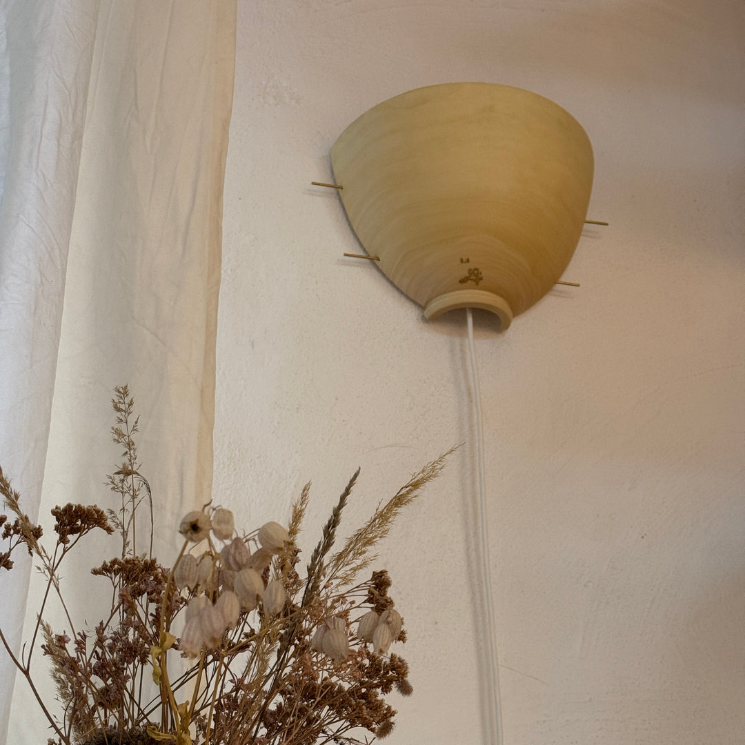 Zuleitungskabel extra für Wandlampe