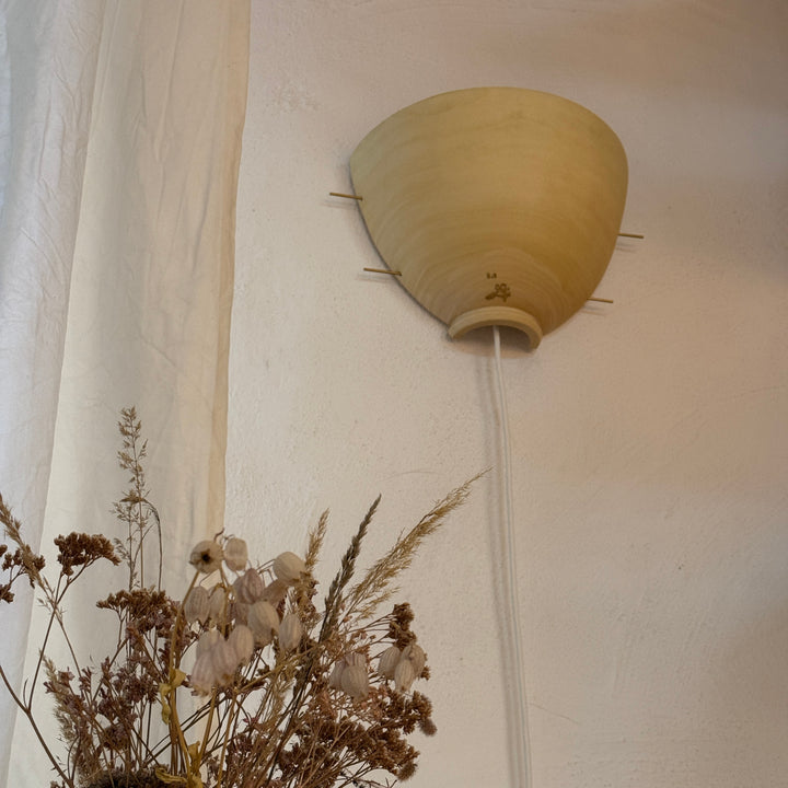 Zuleitungskabel extra für Wandlampe