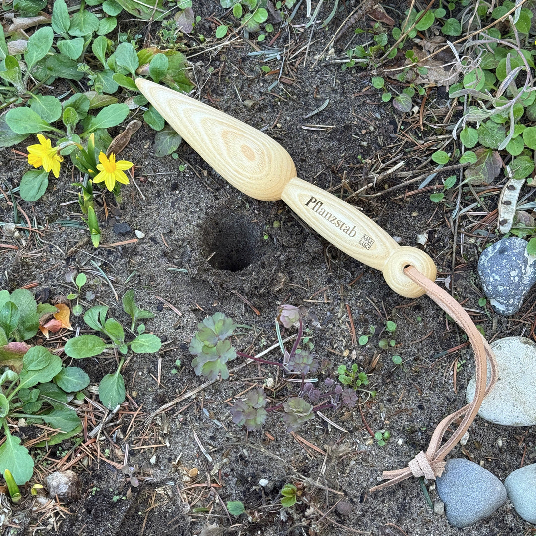 ein pflanzholz zum perfekte pflanzlöcher im beet.