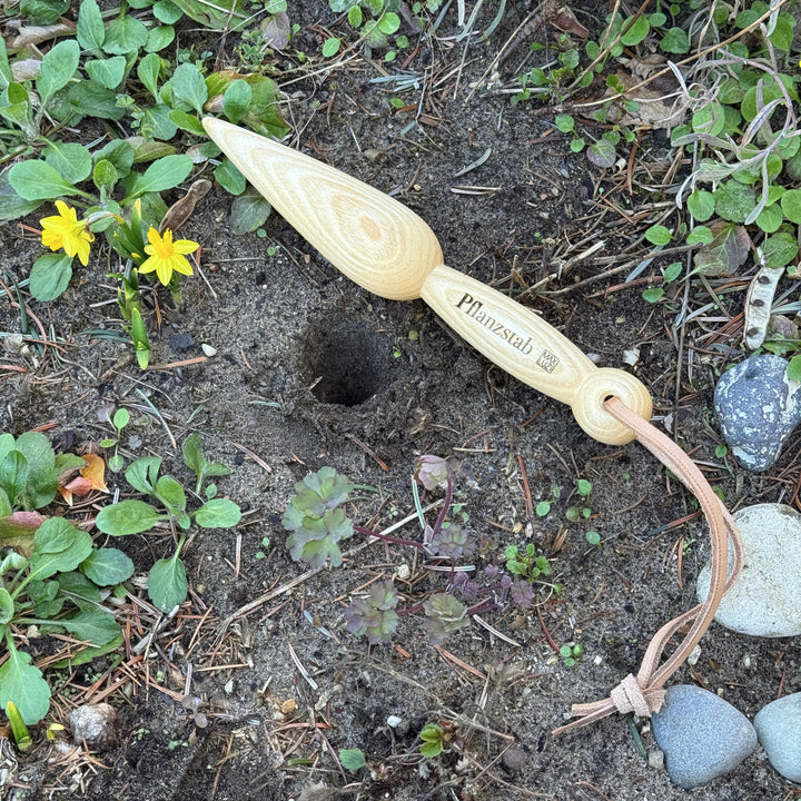 ein pflanzholz zum perfekte pflanzlöcher im beet.